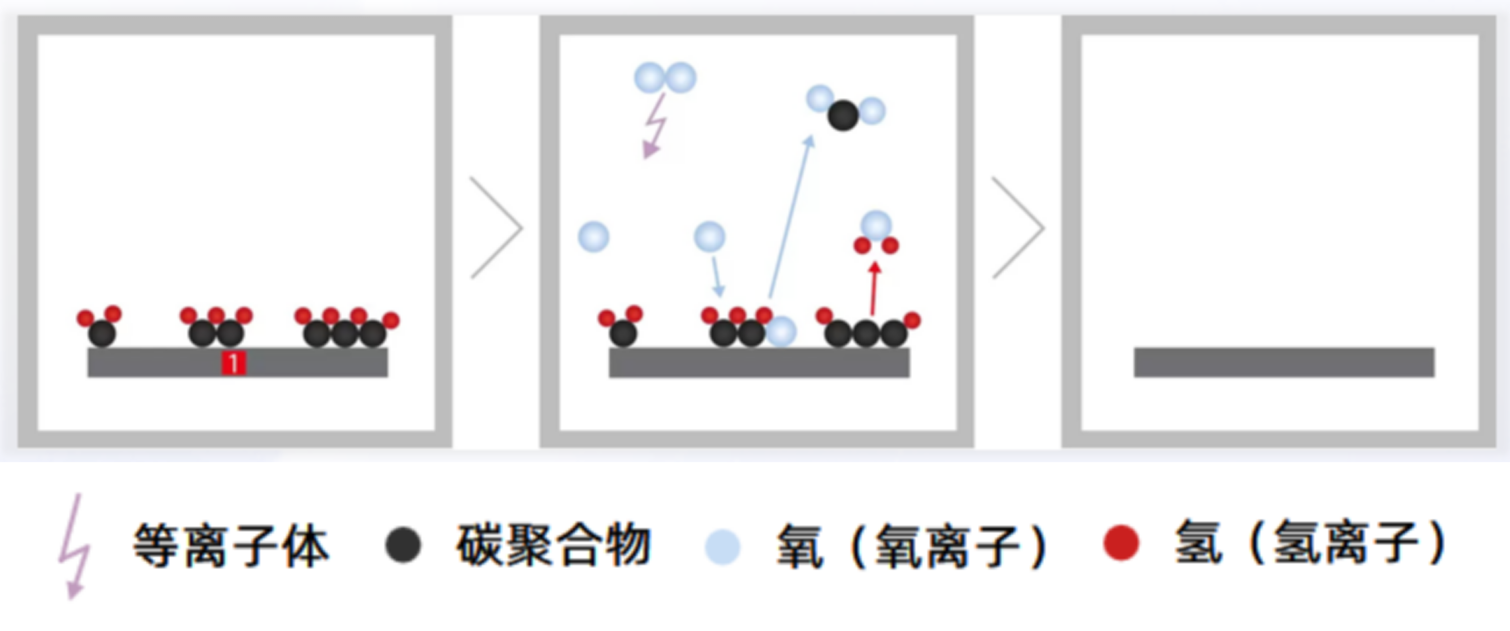 1733795136889938.png cb32e21a4a318fe1b05fd01e87fa0969.png